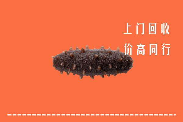 高价求购：兴安盟扎赉特旗回收海参