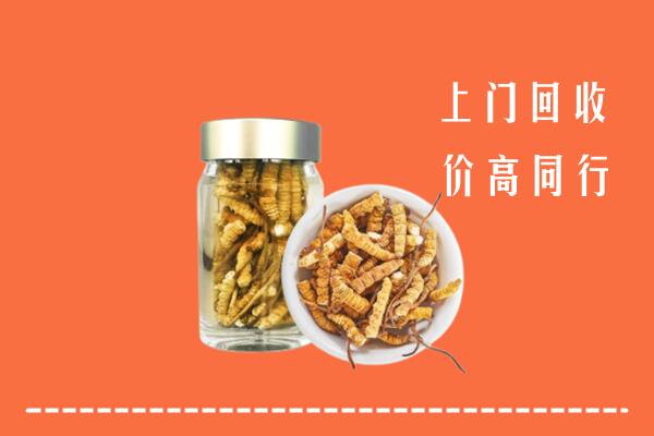 兴安盟扎赉特旗回收冬虫夏草