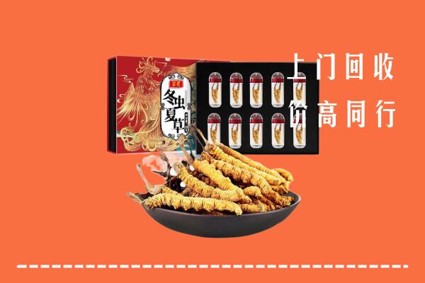 兴安盟扎赉特旗回收虫草